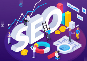 Search Engine Optimization - Cannas Technologies
